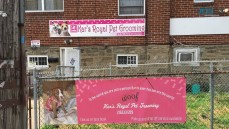 Kar’s Royal Pet Grooming