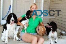 Klassy K9 Pet Grooming