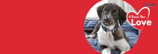 PetSmart Grooming