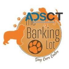 Barking Lot