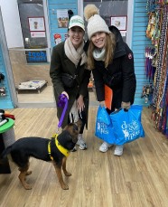 Doggie Style Pets Market