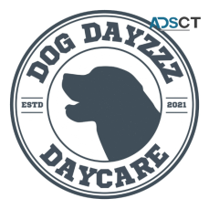 Dog Dayzzz Daycare