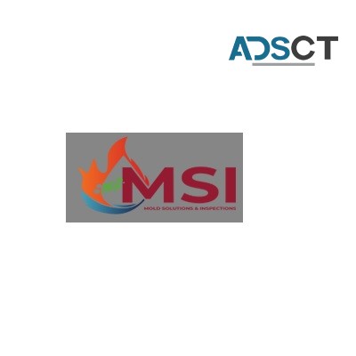Mold Solutions & Inspections