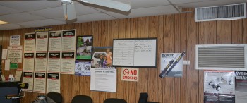 The Car Shop Tampa