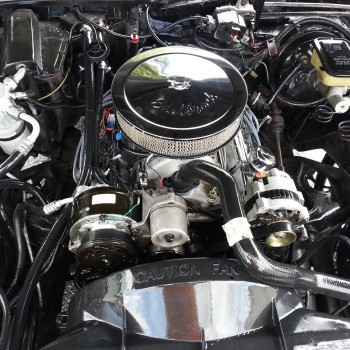 Tampa Auto Stylist