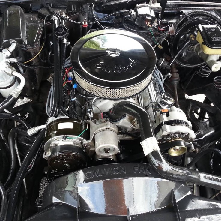 Tampa Auto Stylist