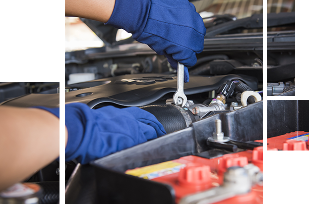 Gainesville Auto Repair and Service Department