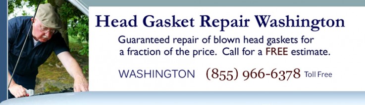 HEAD GASKET REPAIR