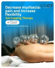 Physiotherapy Massage In  Hamilton