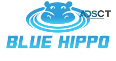 BLUE HIPPO Car Wash