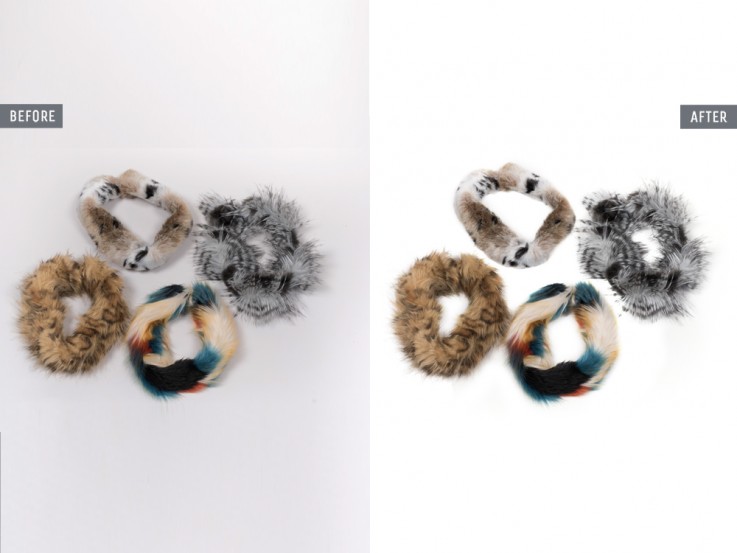 Fur masking services - Global Photo Edit