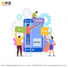 Mobile App Development Company in Ncr – Web Panel Solutions