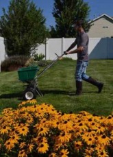 Eco Lawn of Park City
