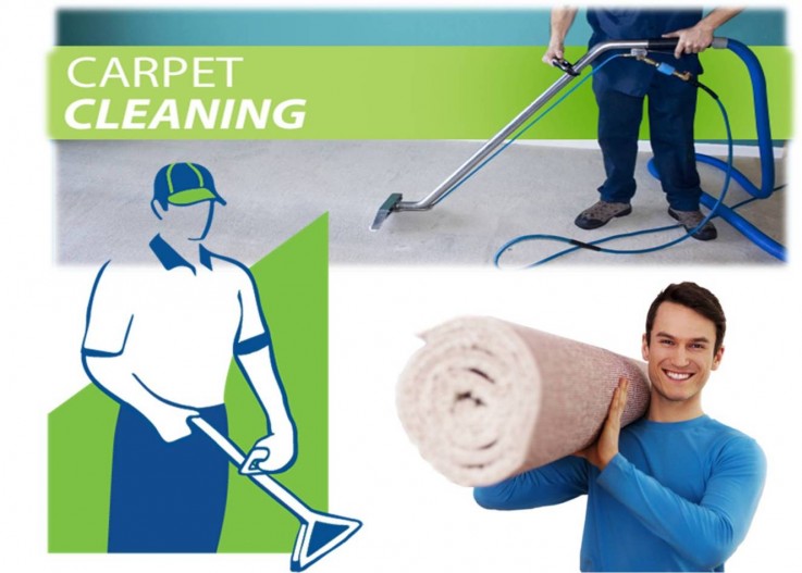 Carpet Stain Treatment Services in Melbourne: