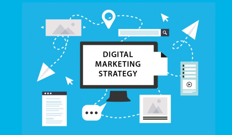Creative 813 - Digital Marketing Agency 