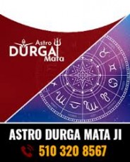Find the Best Astrologer in Florida