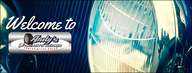 ANDY'S PRO AUTO REPAIR