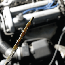 Ramos Auto Repair