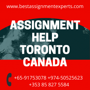 Best Assignment Help Toronto Canada By Top Writers in USA