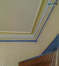 Professional Plasterers