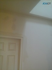 Professional Plasterers