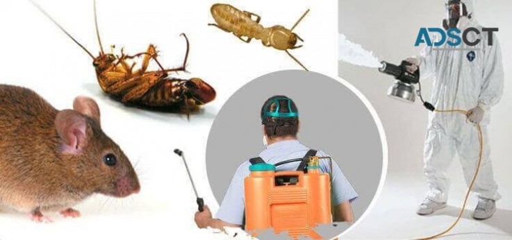 Residential Pest Control Service Provider - Del Valle Pest Control