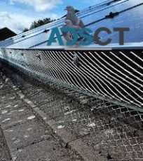 Bird Proofing Solar Panels in Sydney - Australian Solar Mesh Offers Top Solutions