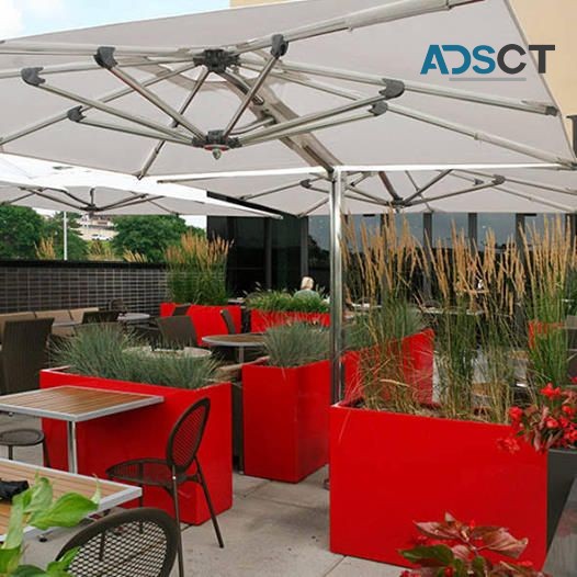 Plant And Flower Rental San Diego
