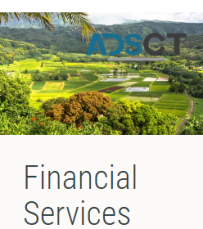 Financial Advisor in Big Island