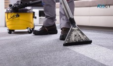 Carpet Cleaner Service Near Me Hollywood