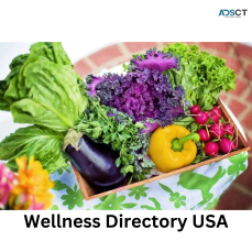 Wellness and Health Blog Directory USA