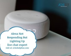 Fixed the Problem: Alexa not responding 