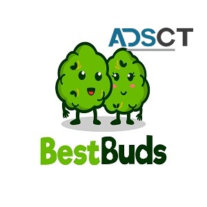Best Buds Dispensary