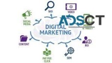 Get The Best Digital Marketing Services 