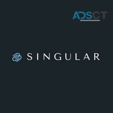 singulardex