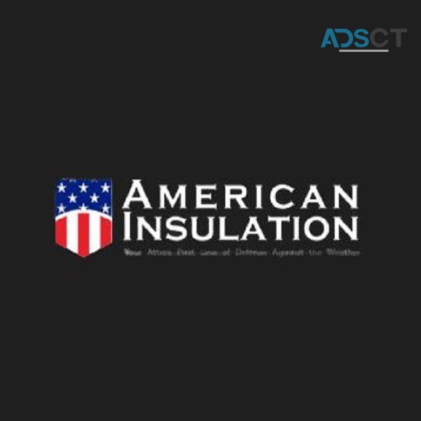 American Insulation Co