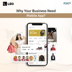 Quick Launch Ecommerce App Using Shopify