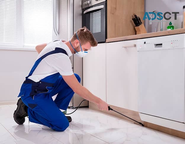 Pest Control Expert - Del Valle Pest Control