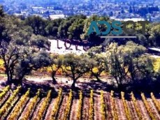 Luxurious Sonoma Valley Transportation