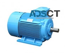 Best Synchronous motor China