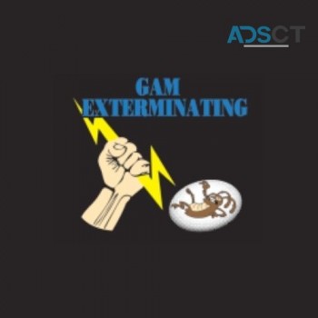 GAM Bed Bug Exterminator Lancaster