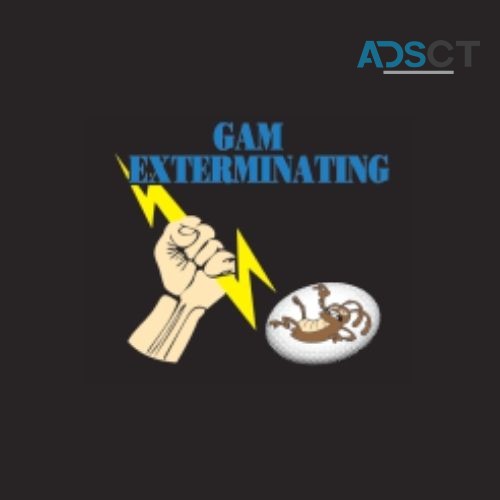 GAM Bed Bug Exterminator Lancaster