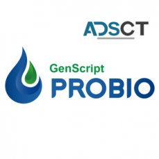 One-Stop Stable Cell Line Solution From GenScript ProBio
