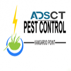 Pest Control Kangaroo Point