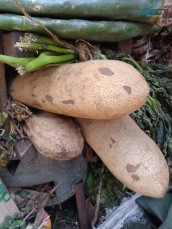 USA CANADA UK AUSTRALIA TOP BEST ONLINE BRING BACK YOUR EX LOVE SPELLS CASTER +256776880745