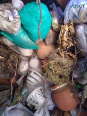 USA CANADA UK AUSTRALIA TOP BEST ONLINE BRING BACK YOUR EX LOVE SPELLS CASTER +256776880745