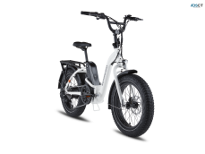 Foldable E-bike
